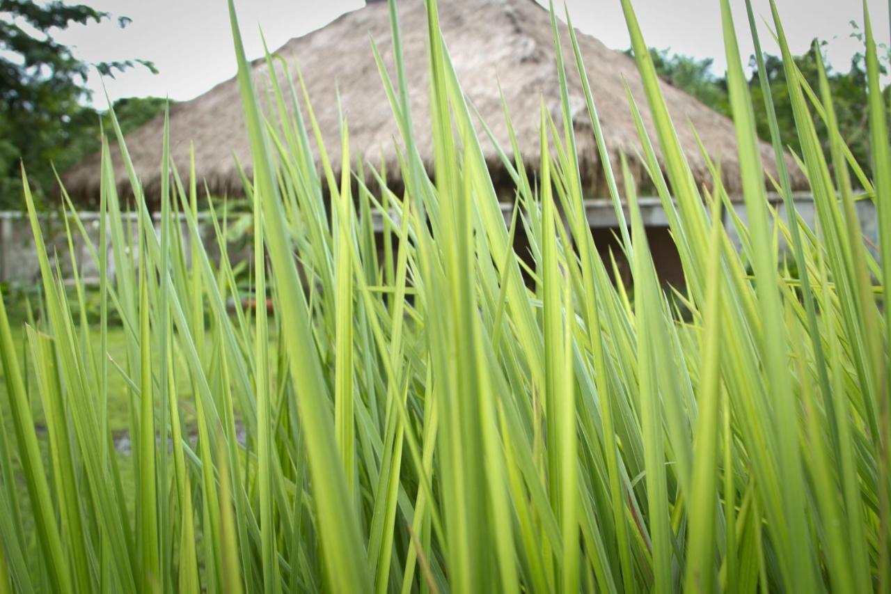 Calvary Home Mae Rim Extérieur photo