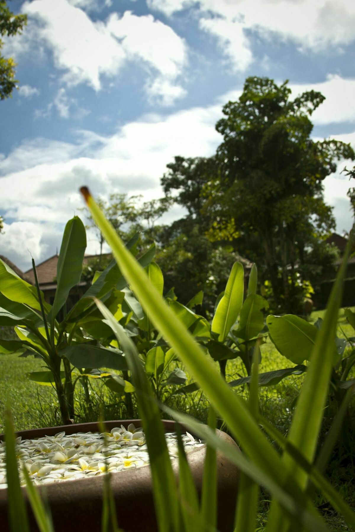 Calvary Home Mae Rim Extérieur photo